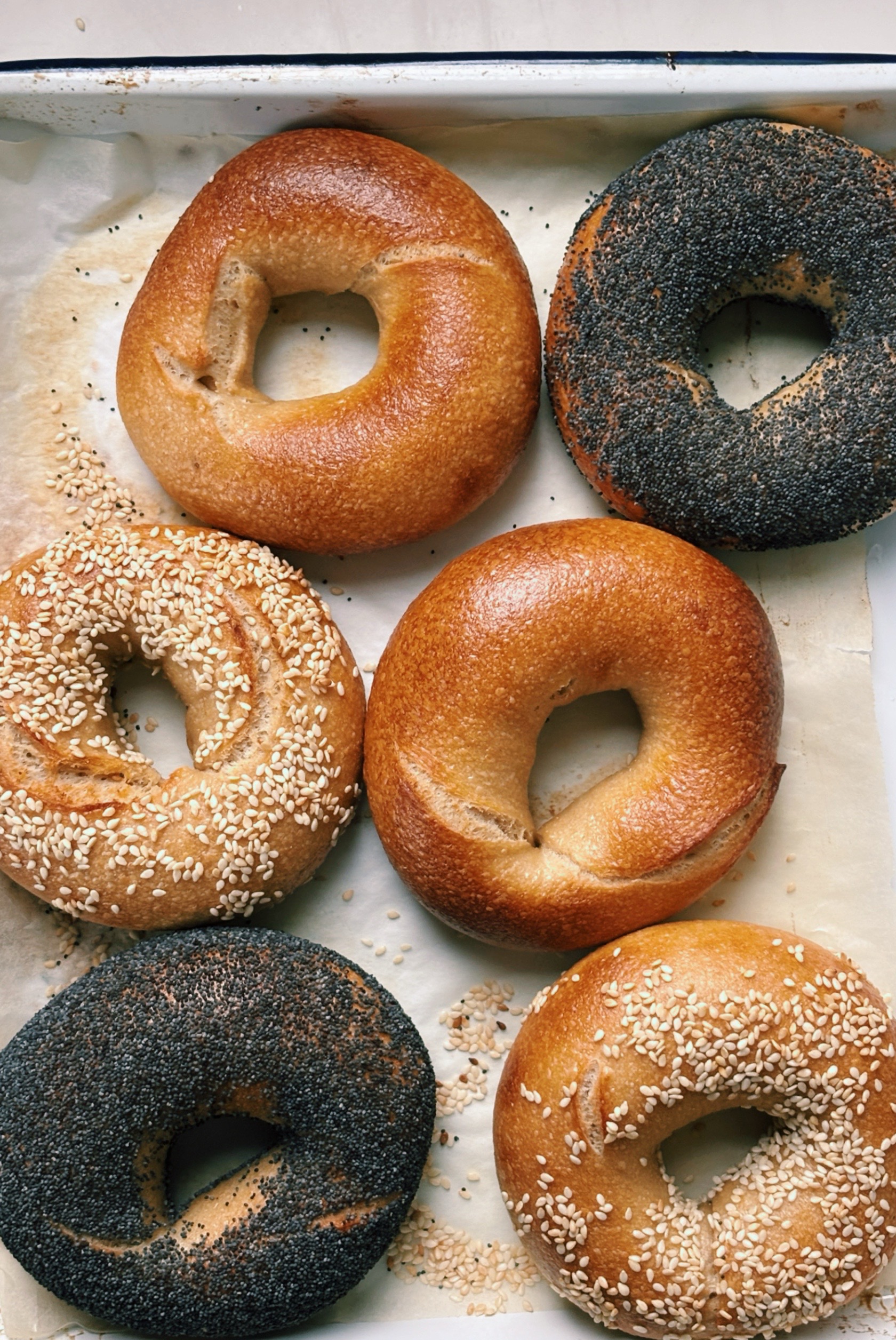 Montreal-New York Bagel Recipe: A Perfect Hybrid