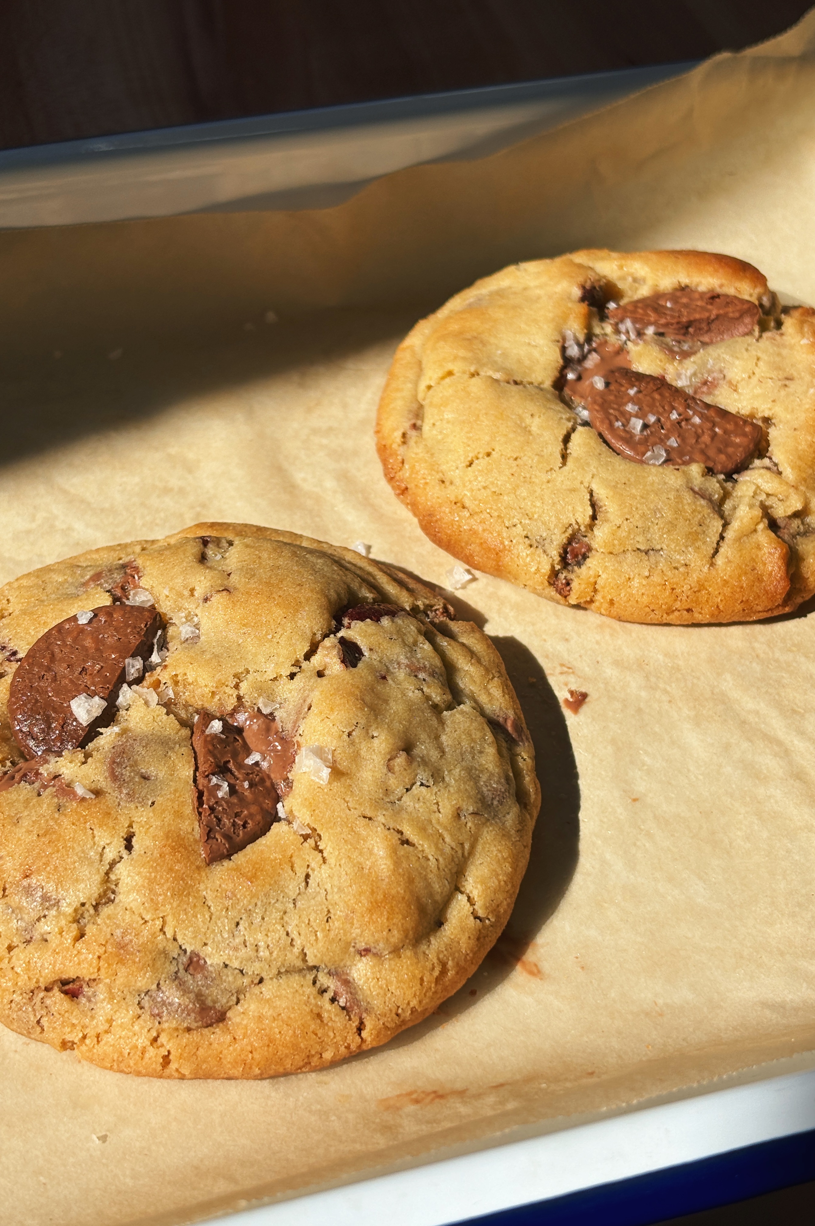 Malt Shop Cookies: Toasted Pecan & Malt Milk Chocolate Chip Cookies